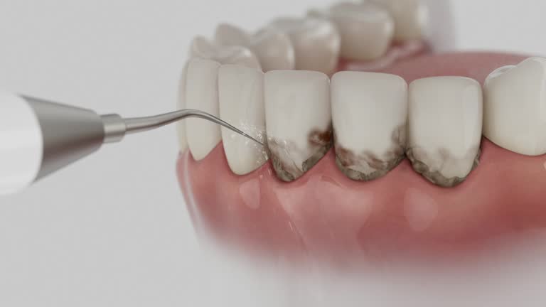 Reliable Dental contractor in Miami-Dade County County, FL by Dentist Open Now